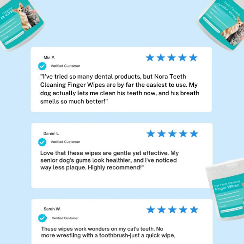 Nora™ Finger Wipes
