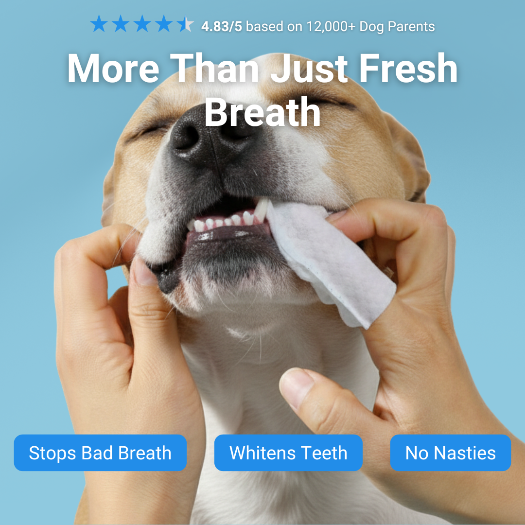Nora™ Finger Wipes