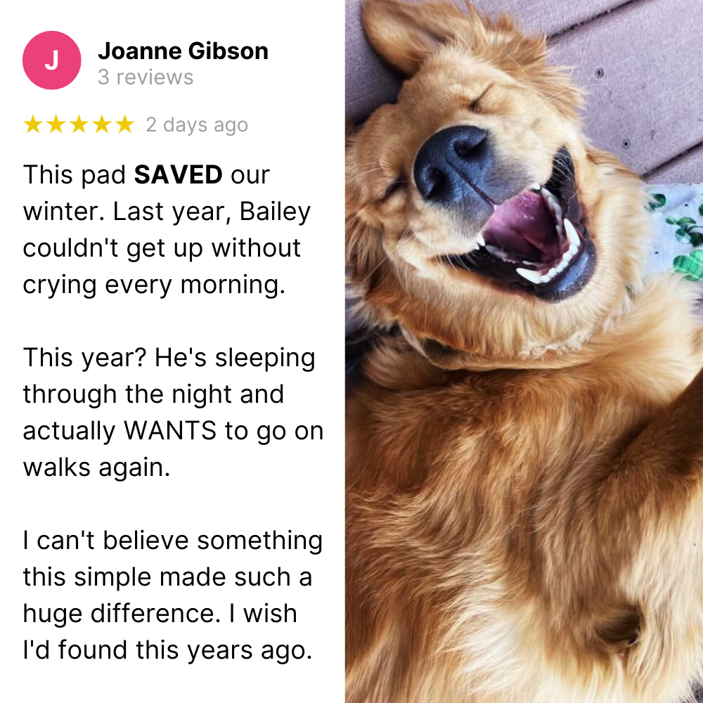 Nora Thermal Reflection Pad™